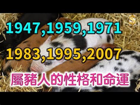 屬豬房子座向|【屬豬坐向】屬豬座向樓層超神準！住對吉房旺到翻！